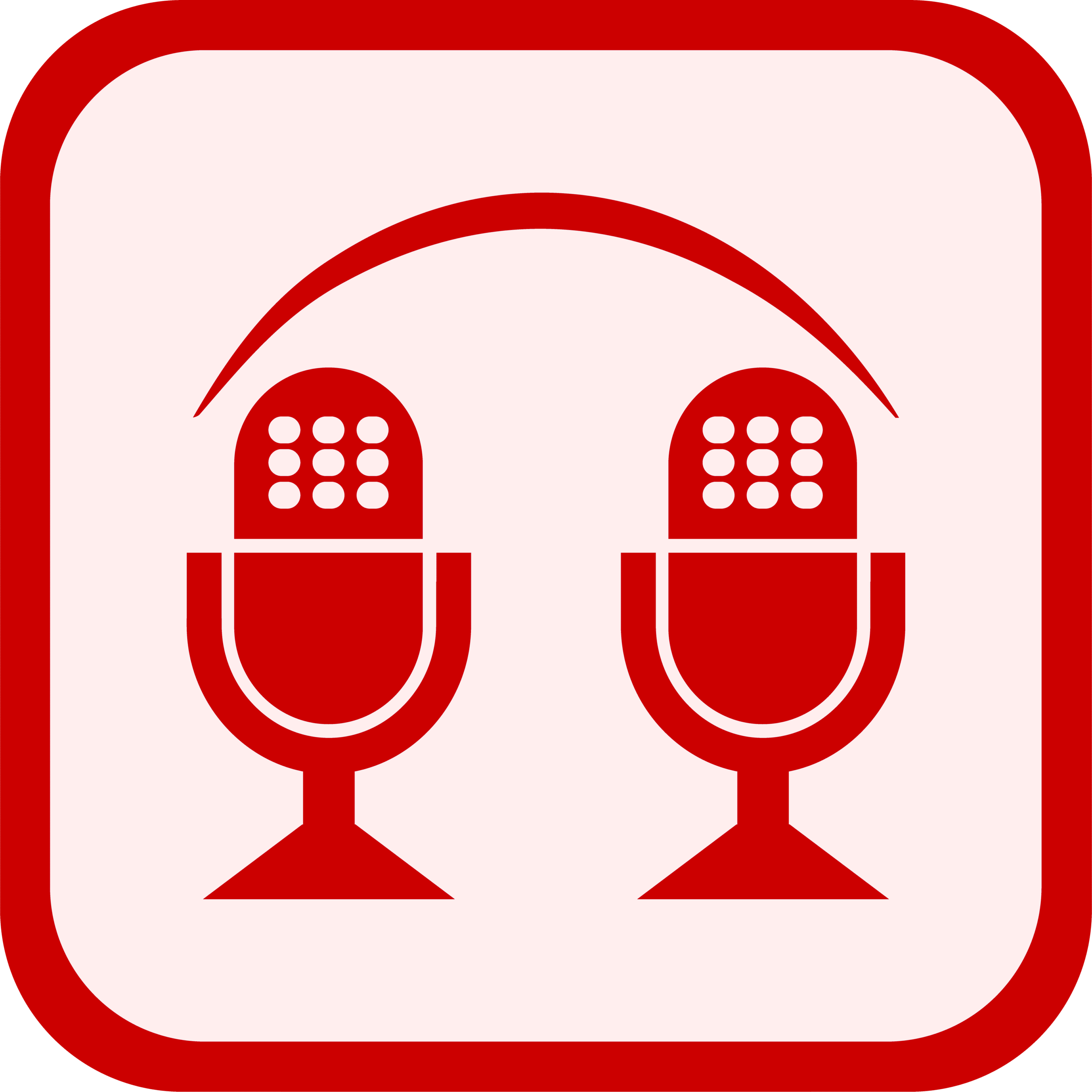 Dual Mic